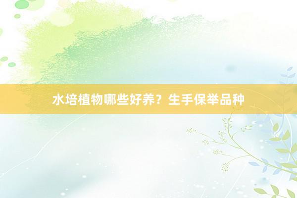 水培植物哪些好养？生手保举品种
